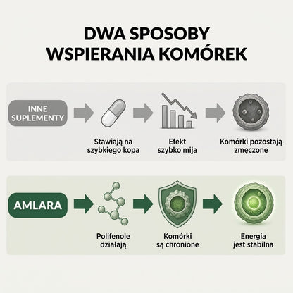 Amla Superfruit w kapsułkach