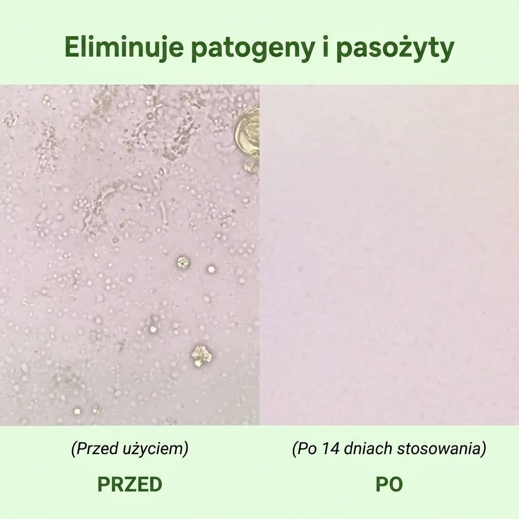 Brak apetytu rano, mgła umysłowa, wzdęty brzuch? Te objawy, które pasożyty zostawiają po 40. roku życia